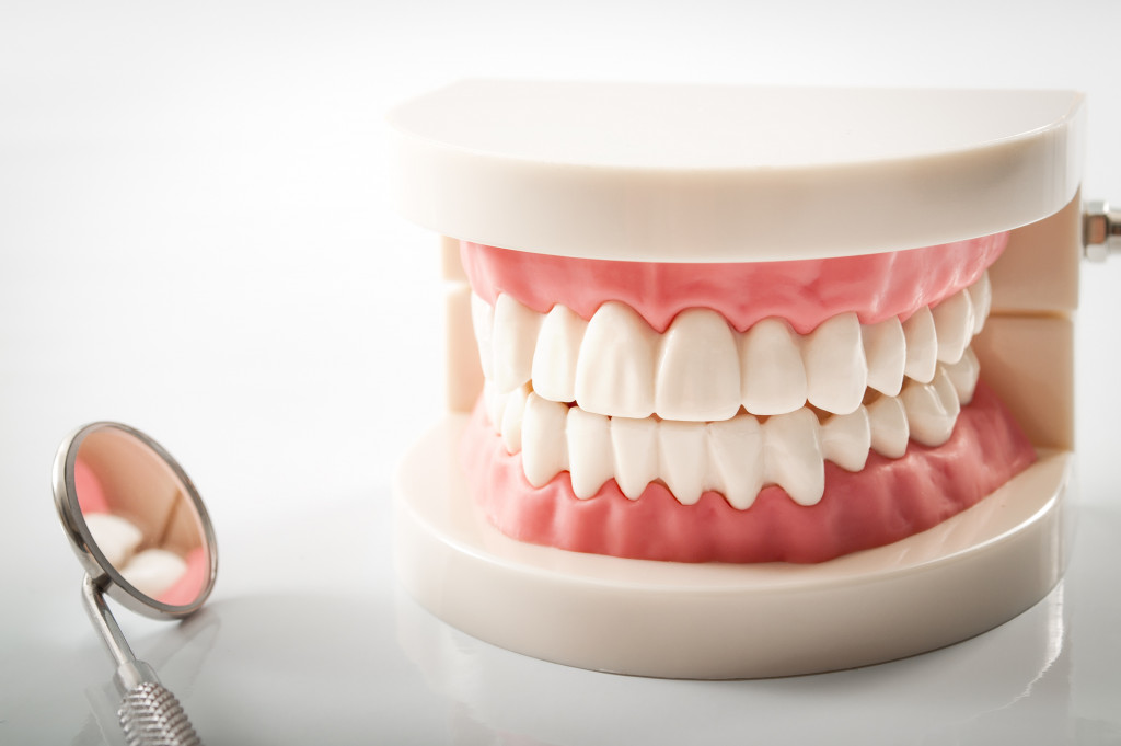 a denture model with a dental mirror on the side